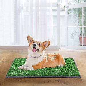 Coziwow Dog Grass Pad Pee Turf Potty Training, 30 x 20-in