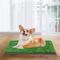 Show in main carousel: Coziwow Dog Grass Pad Pee Turf Potty Training, 30 x 20-in slide 3 of 10