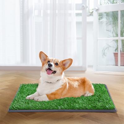 Show full view: Coziwow Dog Grass Pad Pee Turf Potty Training, 30 x 20-in slide 3 of 10