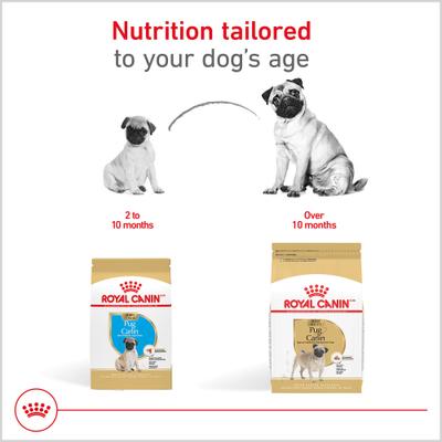 Show full view: Royal Canin Breed Health Nutrition Pug Puppy Dry Dog Food, 2.5-lb bag slide 8 of 13