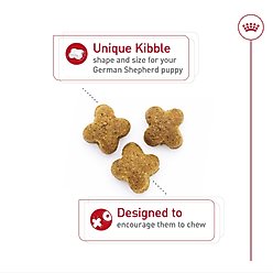 Royal Canin Breed Health Nutrition German Shepherd Puppy Dry Dog Food, 30-lb bag slide 2 of 8