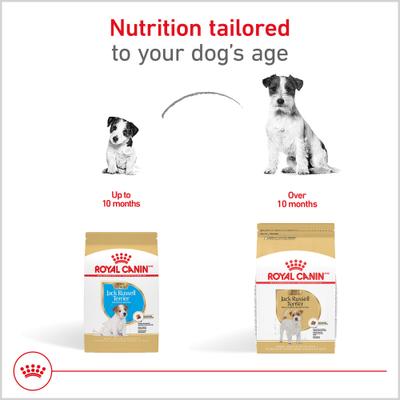 Show full view: Royal Canin Breed Health Nutrition Jack Russell Terrier Puppy Dry Dog Food, 3-lb bag slide 5 of 13