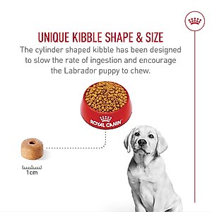 Royal Canin Breed Health Nutrition Labrador Retriever Puppy Dry Dog Food, 30-lb bag
