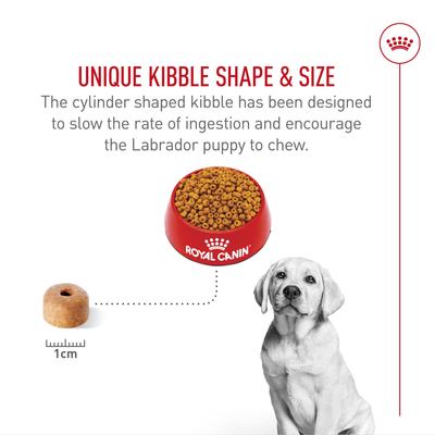Show full view: Royal Canin Breed Health Nutrition Labrador Retriever Puppy Dry Dog Food, 2.5-lb bag slide 5 of 12