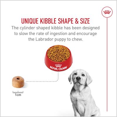 Show full view: Royal Canin Breed Health Nutrition Labrador Retriever Puppy Dry Dog Food, 30-lb bag slide 6 of 13