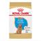 Show in main carousel: Royal Canin Breed Health Nutrition Poodle Puppy Dry Dog Food, 2.5-lb bag slide 1 of 12