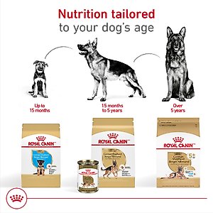 Royal Canin Breed Health Nutrition German Shepherd Puppy Dry Dog Food, 30-lb bag