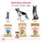 Show in main carousel: Royal Canin Breed Health Nutrition German Shepherd Adult 5+ Dry Dog Food, 28-lb bag slide 5 of 11