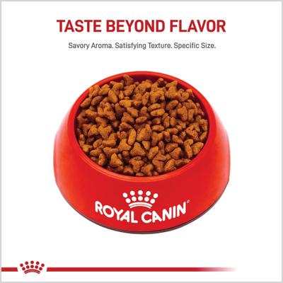 Show full view: Royal Canin Breed Health Nutrition Pug Puppy Dry Dog Food, 2.5-lb bag slide 3 of 13
