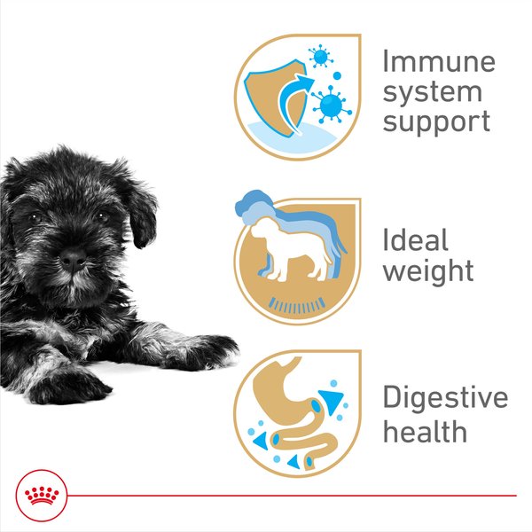 Royal Canin Breed Health Nutrition Miniature Schnauzer Puppy Dry Dog Food