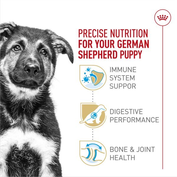 Royal Canin Breed Health Nutrition German Shepherd Puppy Dry Dog Food
