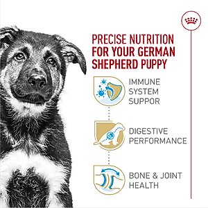 Royal Canin Breed Health Nutrition German Shepherd Puppy Dry Dog Food, 30-lb bag