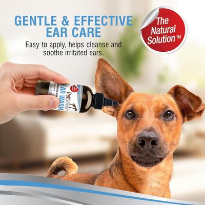 Show full view: PetSilver Antimicrobial Dog & Cat Ear Wash, 4-fl oz bottle slide 4 of 12