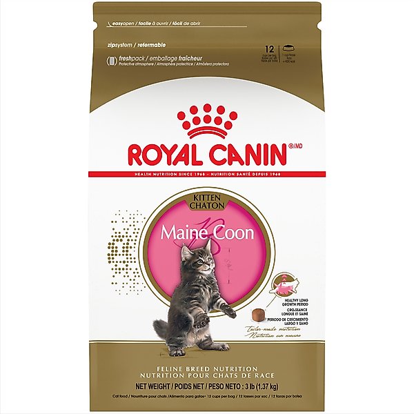 Royal Canin Feline Breed Nutrition Maine Coon Kitten Dry Cat Food