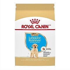 Royal Canin Breed Health Nutrition Labrador Retriever Puppy Dry Dog Food, 30-lb bag