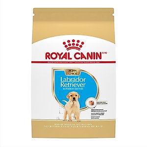 Royal Canin Breed Health Nutrition Labrador Retriever Puppy Dry Dog Food, 30-lb bag