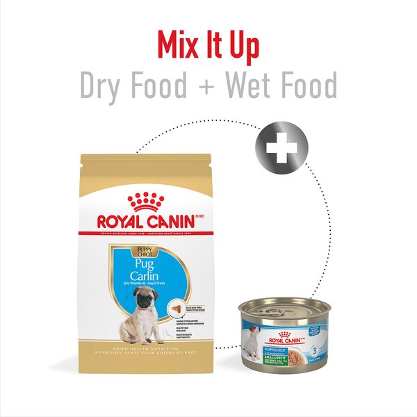 Royal Canin Breed Health Nutrition Pug Puppy Dry Dog Food