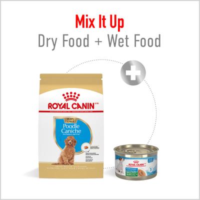 Show full view: Royal Canin Breed Health Nutrition Poodle Puppy Dry Dog Food, 2.5-lb bag slide 5 of 12