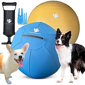 Herding Buddy Ball Dog Toy, Blue, 18-in