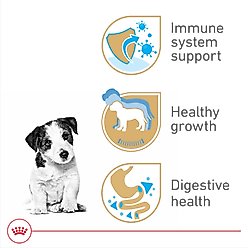 Royal Canin Breed Health Nutrition Jack Russell Terrier Puppy Dry Dog Food, 3-lb bag slide 2 of 9