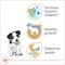 Show in main carousel: Royal Canin Breed Health Nutrition Jack Russell Terrier Puppy Dry Dog Food, 3-lb bag slide 3 of 13