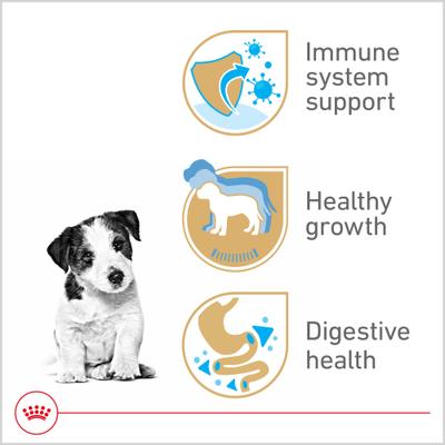 Show full view: Royal Canin Breed Health Nutrition Jack Russell Terrier Puppy Dry Dog Food, 3-lb bag slide 3 of 13