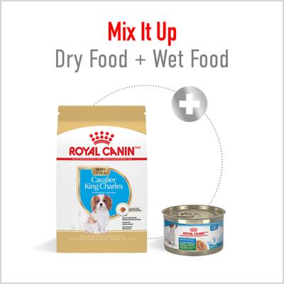 Show full view: Royal Canin Breed Health Nutrition Cavalier King Charles Puppy Dry Dog Food, 3-lb bag slide 5 of 12