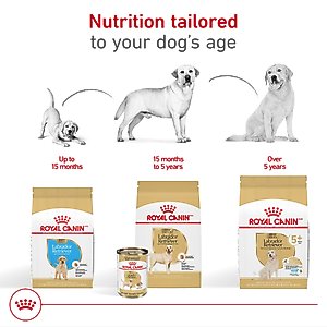 Royal Canin Breed Health Nutrition Labrador Retriever Puppy Dry Dog Food, 30-lb bag