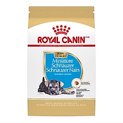 Royal Canin Breed Health Nutrition Miniature Schnauzer Puppy Dry Dog Food, 2.5-lb bag