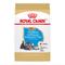 Show in main carousel: Royal Canin Breed Health Nutrition Miniature Schnauzer Puppy Dry Dog Food, 2.5-lb bag slide 1 of 12