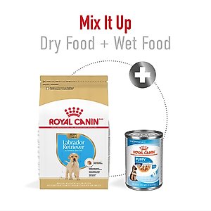 Royal Canin Breed Health Nutrition Labrador Retriever Puppy Dry Dog Food, 30-lb bag