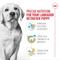 Show in main carousel: Royal Canin Breed Health Nutrition Labrador Retriever Puppy Dry Dog Food, 2.5-lb bag slide 4 of 12
