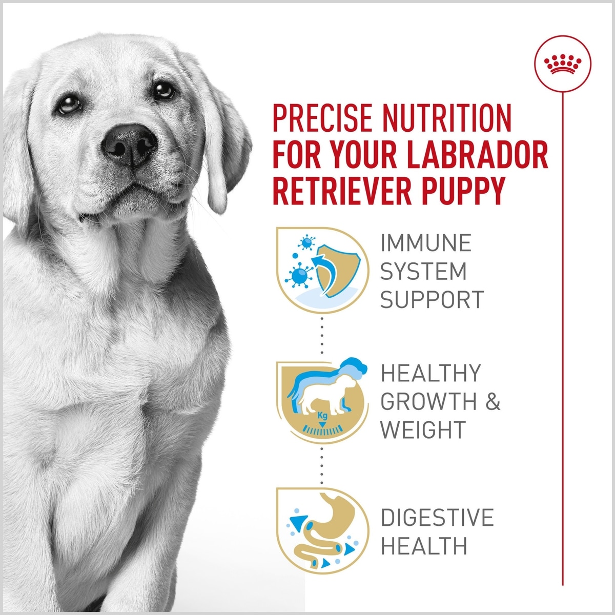 ROYAL CANIN Breed Health Nutrition Labrador Retriever Puppy Dry