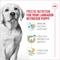 Show in main carousel: Royal Canin Breed Health Nutrition Labrador Retriever Puppy Dry Dog Food, 30-lb bag slide 5 of 13