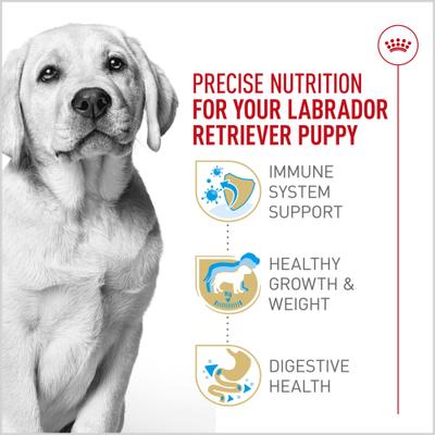 Show full view: Royal Canin Breed Health Nutrition Labrador Retriever Puppy Dry Dog Food, 30-lb bag slide 5 of 13