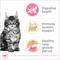 Show in main carousel: Royal Canin Feline Breed Nutrition Maine Coon Kitten Dry Cat Food, 3-lb bag slide 5 of 13