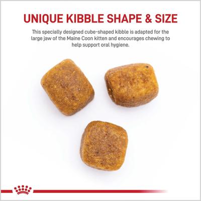 Show full view: Royal Canin Feline Breed Nutrition Maine Coon Kitten Dry Cat Food, 3-lb bag slide 4 of 13