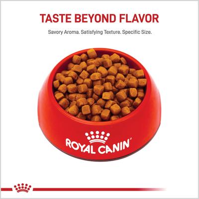 Show full view: Royal Canin Feline Breed Nutrition Maine Coon Kitten Dry Cat Food, 3-lb bag slide 3 of 13