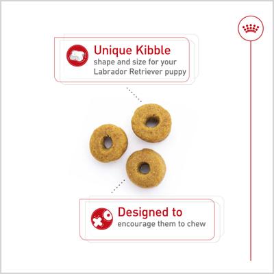 Show full view: Royal Canin Breed Health Nutrition Labrador Retriever Puppy Dry Dog Food, 30-lb bag slide 4 of 13