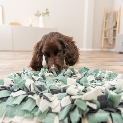 Show full view: TRIXIE Snuffle Mat Level 1 Enrichment Interactive Feeding Game Slow Feeder Foraging Training Dog Puzzle Toy, Green/Gray slide 3 of 7