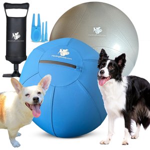 Herding Buddy Ball Dog Toy, Blue, 25-in