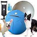 Herding Buddy Ball Dog Toy, Blue, 25-in