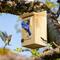 Show in main carousel: Kingsyard Wooden Bluebird House with Predator Guard, Natural Wood slide 3 of 6