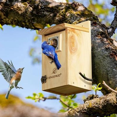 Show full view: Kingsyard Wooden Bluebird House with Predator Guard, Natural Wood slide 3 of 6