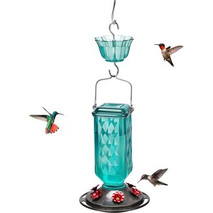 Kingsyard 24-oz Leak-Proof Glass Hummingbird Feeder with Ant Moat, Light Blue