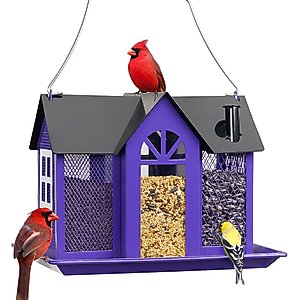 Kingsyard Wild Bird House & Triple Feeder, Black/Purple