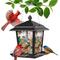 Show in main carousel: Kingsyard Hopper Wild Bird Feeder with Detachable Roof, Black slide 6 of 7