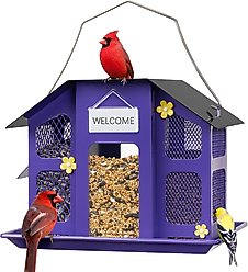 Kingsyard Weatherproof Metal Mesh House Hopper Wild Bird Feeder, Black/Purple slide 1 of 5