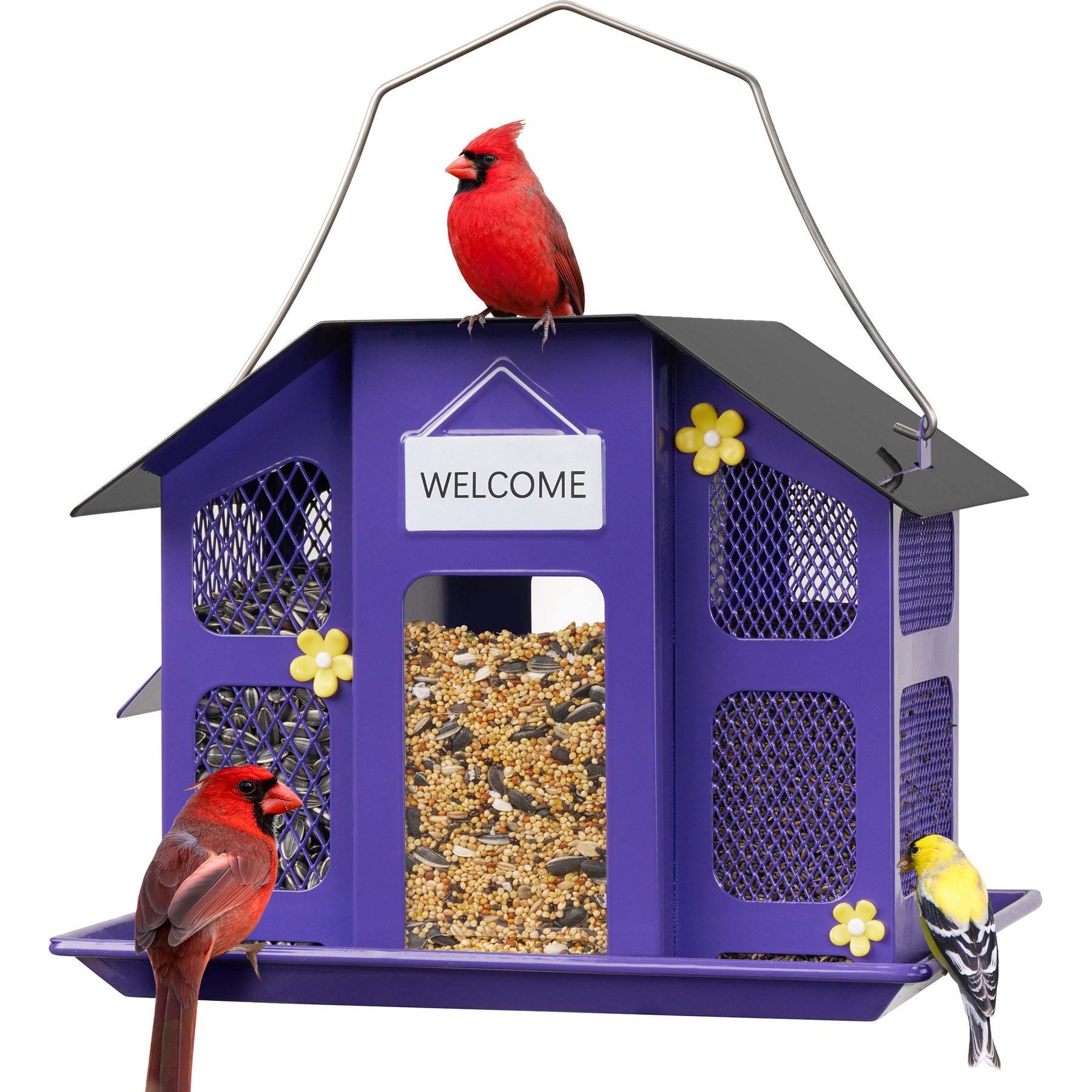 Kingsyard Weatherproof Metal Mesh House Hopper Wild Bird Feeder, Black/Purple