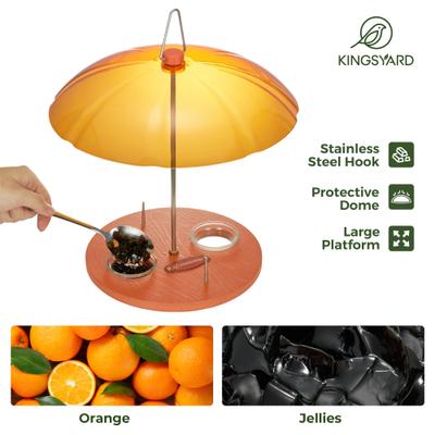 Show full view: Kingsyard Oriole Bird Feeder with Protective Dome, Orange slide 3 of 6
